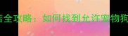 最新带狗入住酒店全攻略如何找到允许宠物狗的酒店及必备指南
