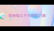 雪纳瑞几个月挤肛门腺