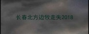 长春北方边牧走失2018