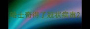 哈士奇得了冠状病毒