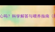 哈士奇能吃玉米心吗科学解答与喂养指南附食谱与禁忌