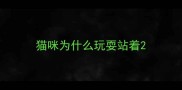 猫咪为什么玩耍站着