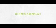 哈士奇怎么辨别怀孕