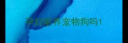 孕妇能养宠物狗吗