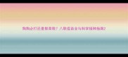 狗狗必打还是智商税八联疫苗全与科学接种指南