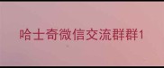 哈士奇微信交流群群