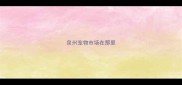 泉州宠物市场在那里