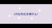 2月拉布拉多喂什么