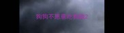狗狗不愿意吃狗粮