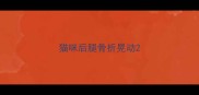 猫咪后腿骨折晃动