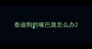 泰迪狗的嘴巴臭怎么办