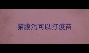 猫腹泻可以打疫苗