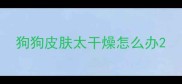狗狗皮肤太干燥怎么办