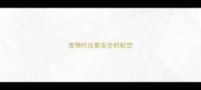 宠物托运最安全的航空