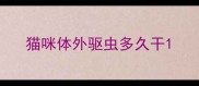 猫咪体外驱虫多久干