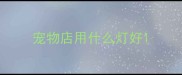 宠物店用什么灯好