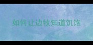 如何让边牧知道饥饱