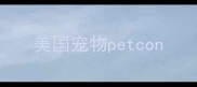 美国宠物petcon