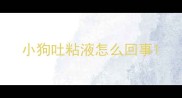小狗吐粘液怎么回事