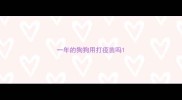 一年的狗狗用打疫苗吗