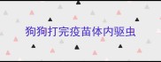 狗狗打完疫苗体内驱虫