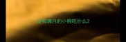 没有满月的小狗吃什么