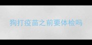 狗打疫苗之前要体检吗
