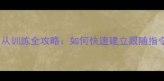边境牧羊犬服从训练全攻略如何快速建立跟随指令的忠诚伙伴