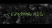 小奶狗啥时候打疫苗