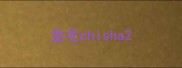 金毛chisha