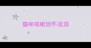 猫咪咳嗽但不流泪