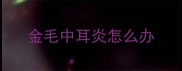 金毛中耳炎怎么办