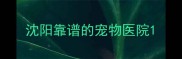 沈阳靠谱的宠物医院