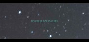 拉布拉多的生活习惯