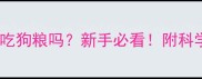 三个月大能吃狗粮吗新手必看附科学喂养指南