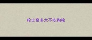 哈士奇多大不吃狗粮