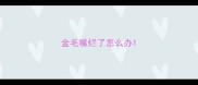 金毛嘴烂了怎么办