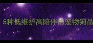 适合新手家庭5种低维护高陪伴的宠物狗品种及养护指南