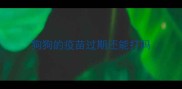 狗狗的疫苗过期还能打吗