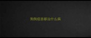狗狗疫苗都治什么病