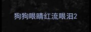 狗狗眼睛红流眼泪