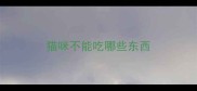 猫咪不能吃哪些东西