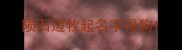 陨石边牧起名字母狗