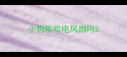 小狗能吹电风扇吗