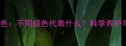边境牧羊犬眼睛颜色不同颜色代表什么科学养护与常见问题全指南