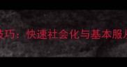 金毛犬训练技巧快速社会化与基本服从训练全攻略