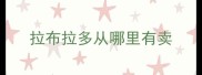 拉布拉多从哪里有卖