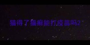猫得了猫癣能打疫苗吗