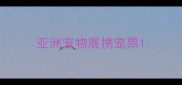 亚洲宠物展携宠票