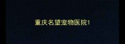 重庆名望宠物医院